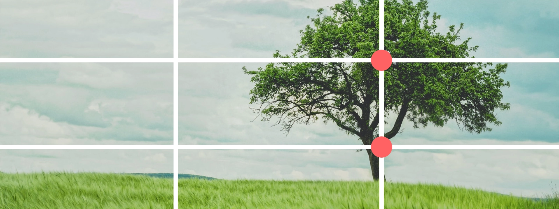 ما هي قاعدة التثليث Rule of Thirds في التصوير الفوتوغرافي ؟